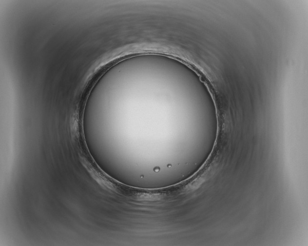 X0000116291499200912071200