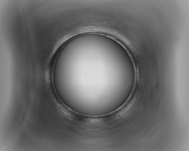 X0000116291501200912071200