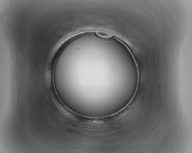 X0000116291503200912071200