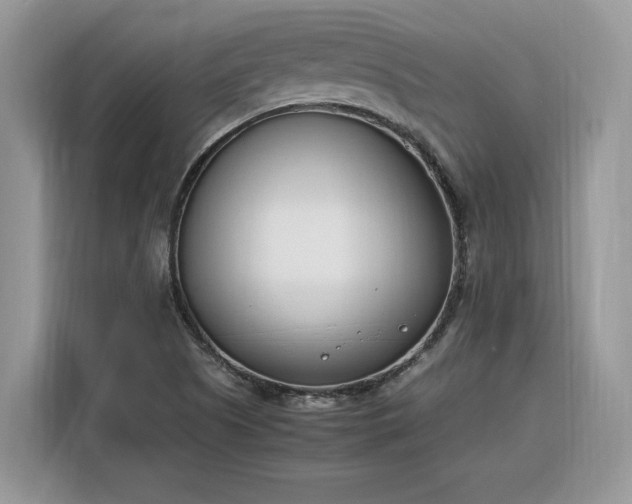 X0000116291505200912071200