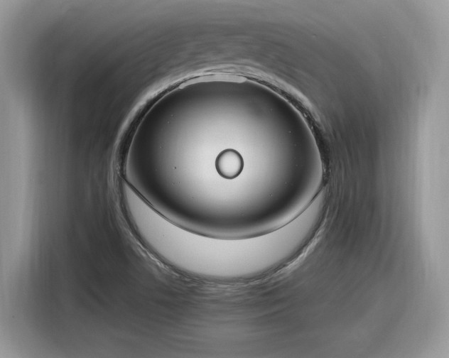 X0000116291506200912071200