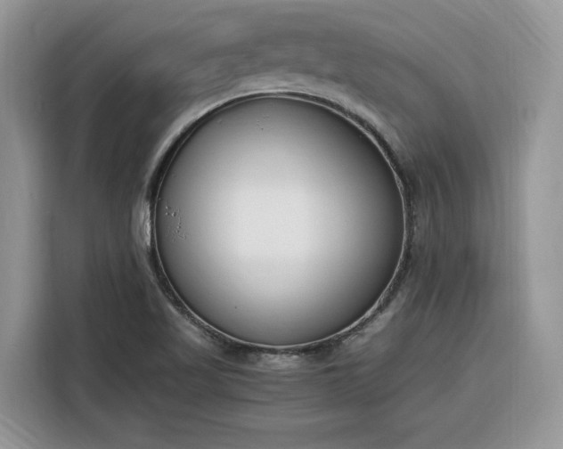 X0000116291509200912071200