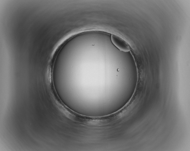 X0000116291510200912071200