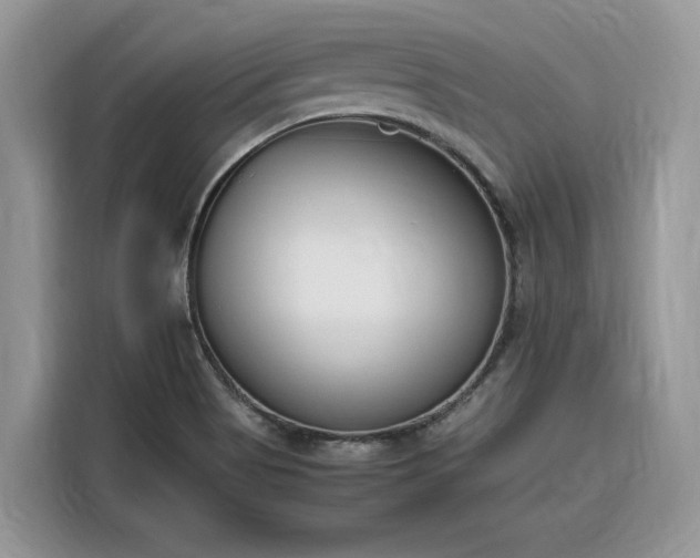 X0000116291513200912071200