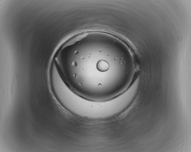 X0000116291514200912071200