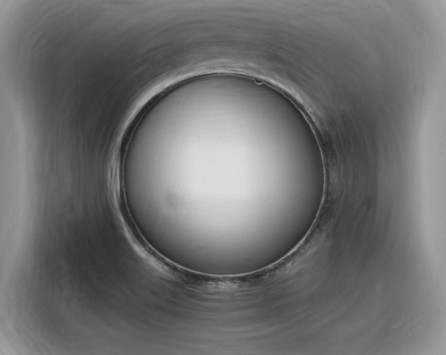 X0000116291515200912071200