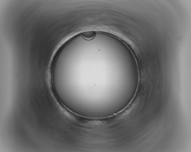 X0000116291517200912071200