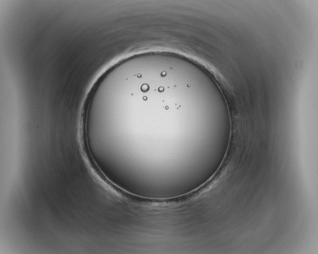 X0000116291518200912071200