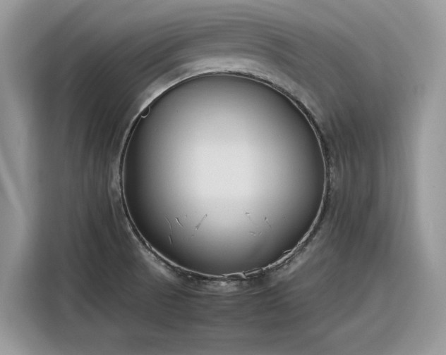 X0000116291521200912071200