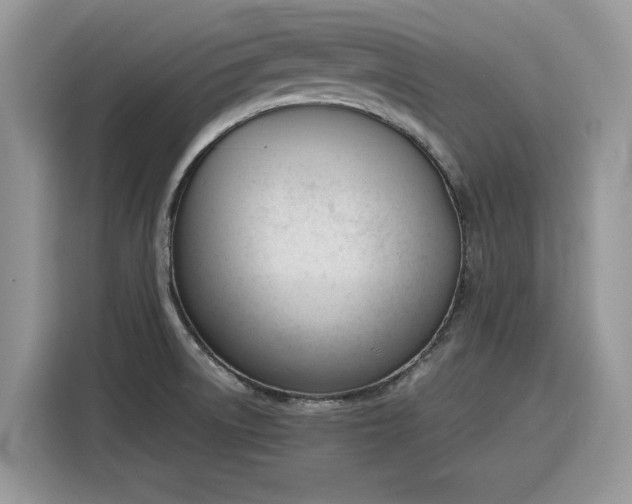 X0000116291522200912071200