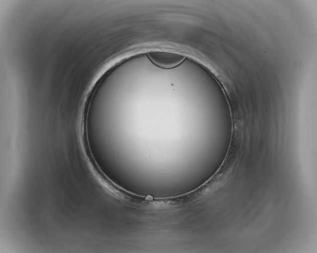 X0000116291523200912071200