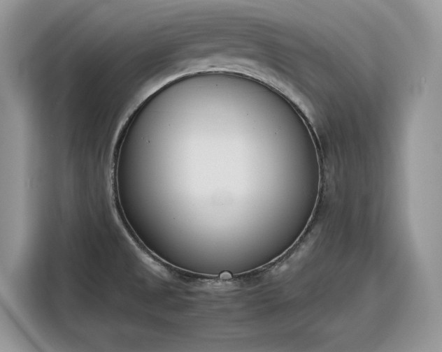 X0000116291525200912071200