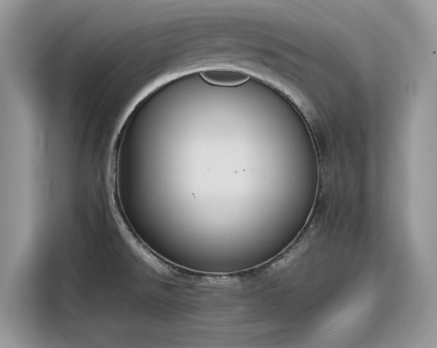 X0000116291526200912071200