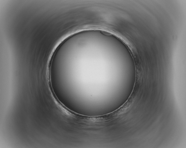 X0000116291527200912071200