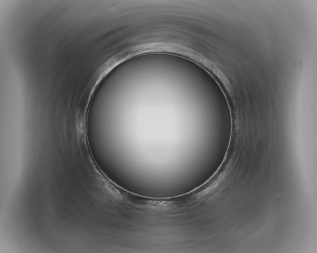 X0000116291529200912071200