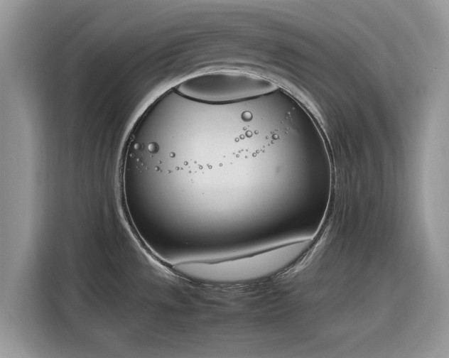 X0000116291533200912071200