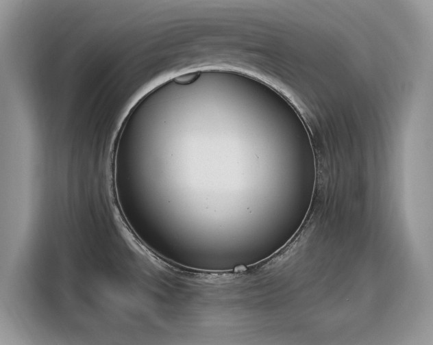 X0000116291534200912071200