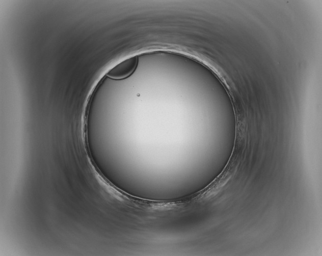 X0000116291535200912071200