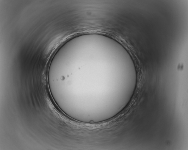 X0000116290002200912141323