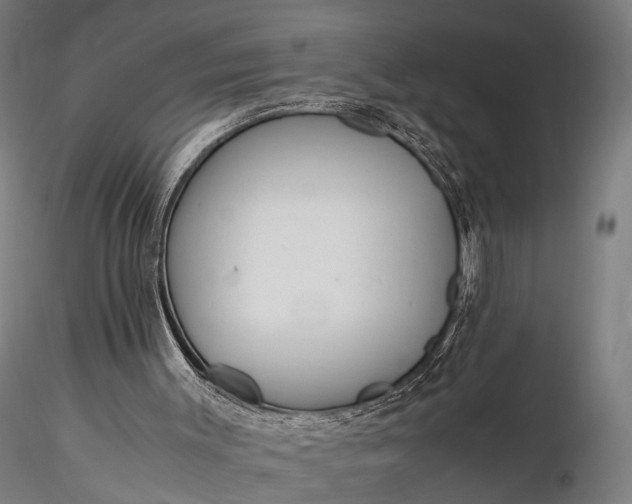 X0000116290003200912141323