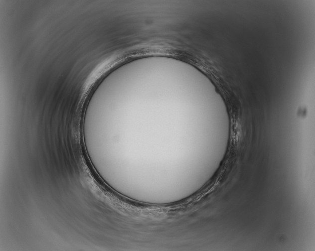 X0000116290004200912141323