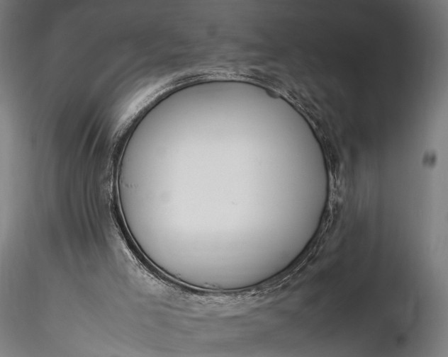 X0000116290005200912141323