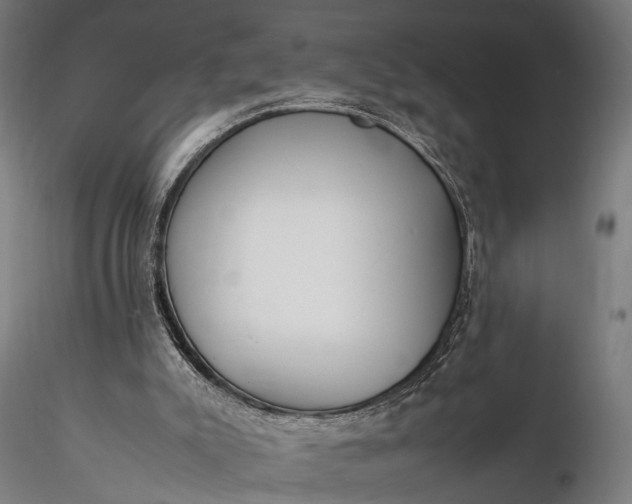 X0000116290007200912141323