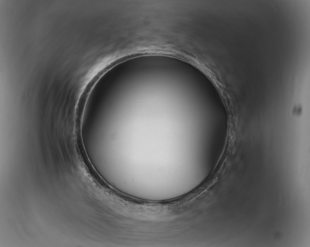 X0000116290008200912141323