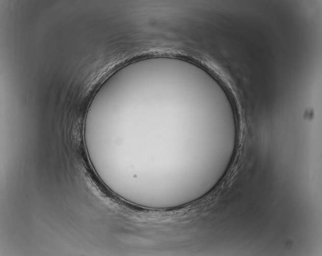 X0000116290009200912141323