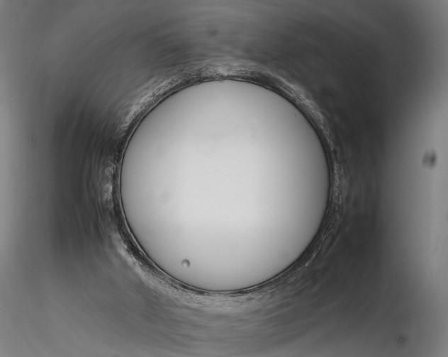 X0000116290010200912141323