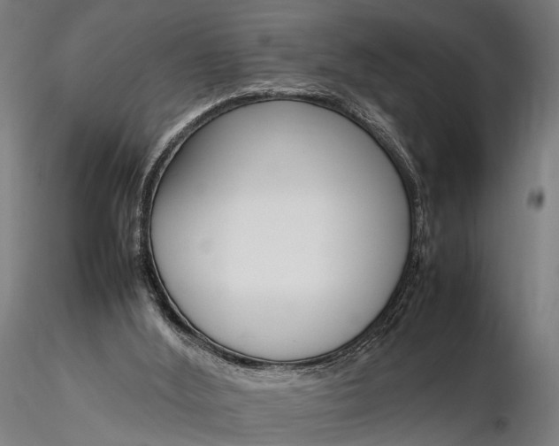 X0000116290012200912141323