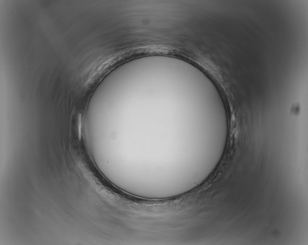 X0000116290013200912141323