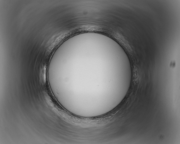 X0000116290014200912141323