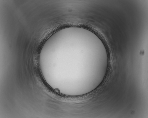 X0000116290017200912141323