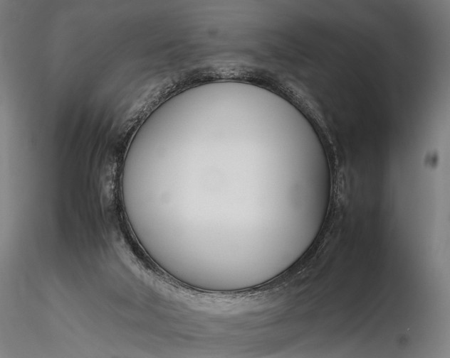 X0000116290018200912141323