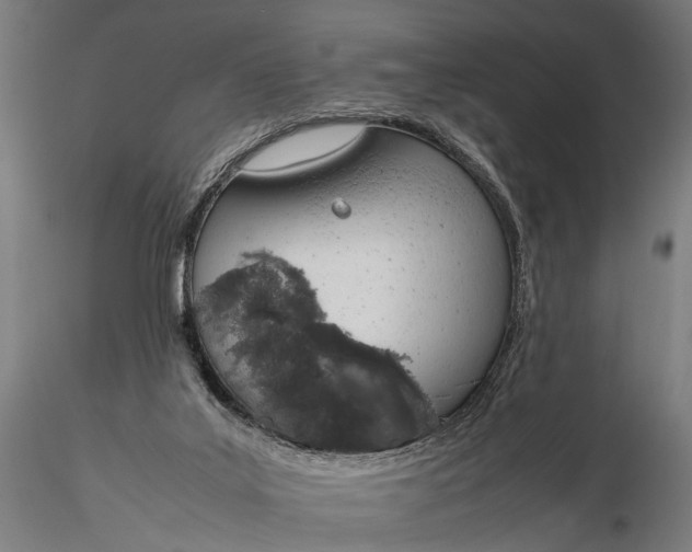 X0000116290019200912141323