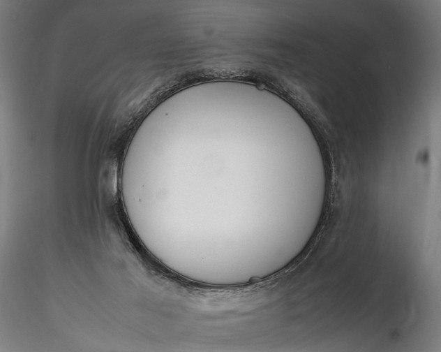 X0000116290021200912141323