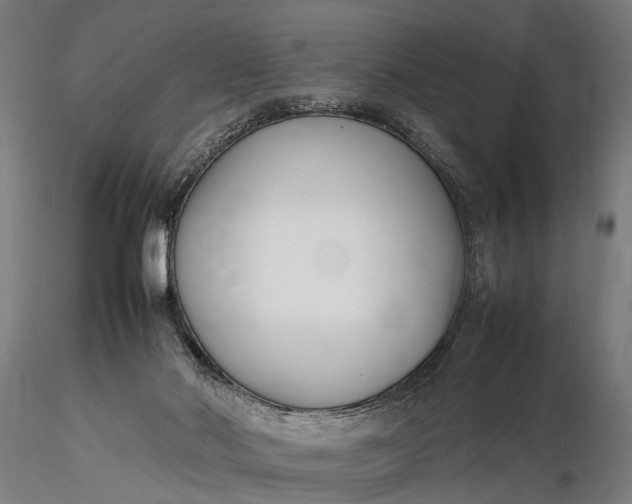 X0000116290022200912141323