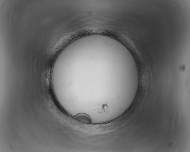 X0000116290023200912141323