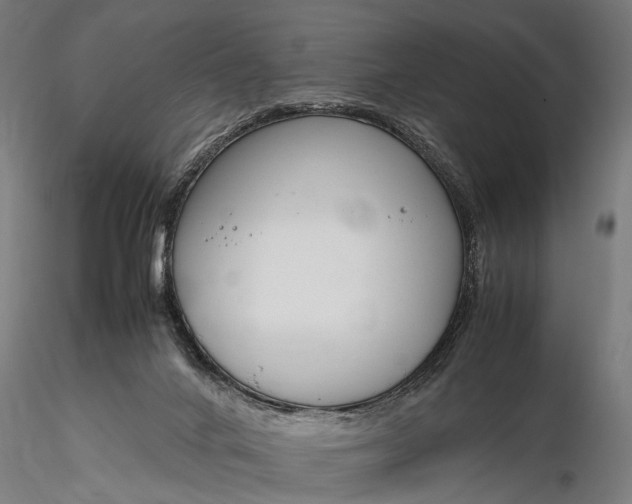 X0000116290024200912141322