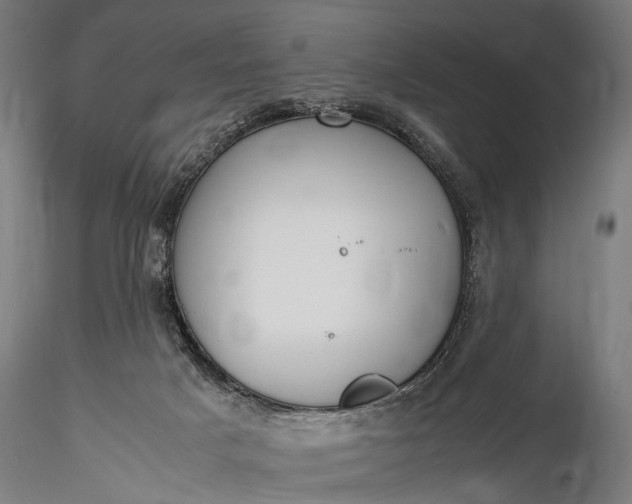 X0000116290025200912141322