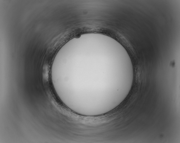 X0000116290026200912141322