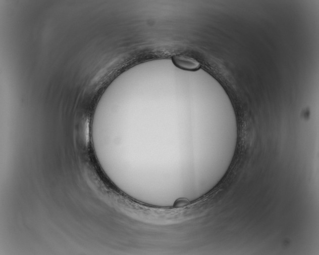 X0000116290027200912141322