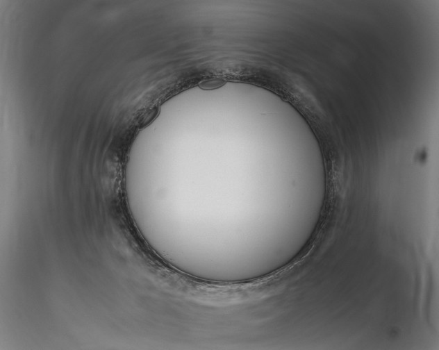 X0000116290029200912141322