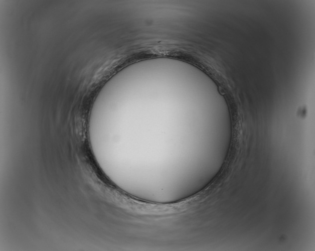 X0000116290031200912141322