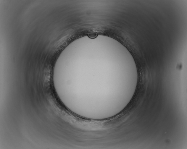 X0000116290032200912141322