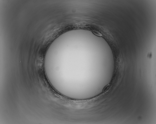 X0000116290033200912141322