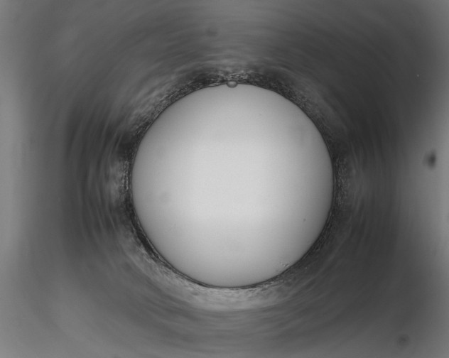 X0000116290034200912141322