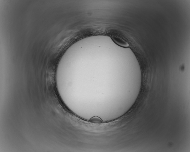 X0000116290035200912141322