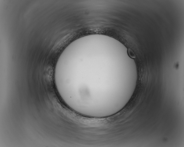 X0000116290036200912141322